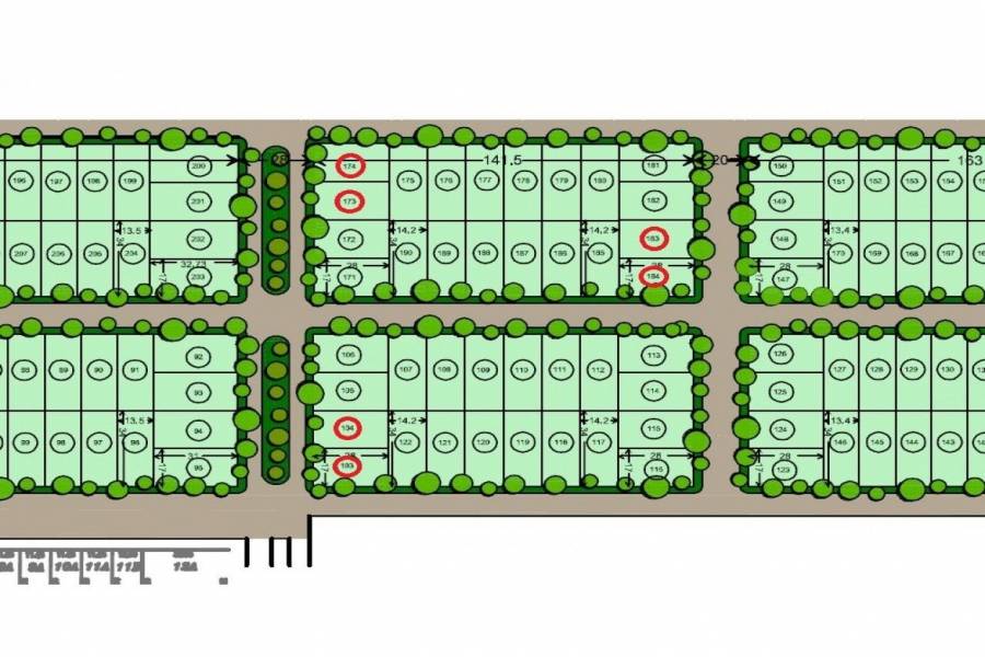 Ibarlucea,Santa Fe,Lotes,Barrio Cerrado Las Casuarinas Country,Av. Del Limite,1652