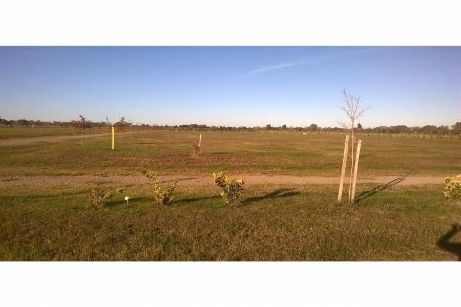 Ibarlucea,Santa Fe,Lotes,Barrio Cerrado Las Casuarinas Country,Av. Del Limite,1652