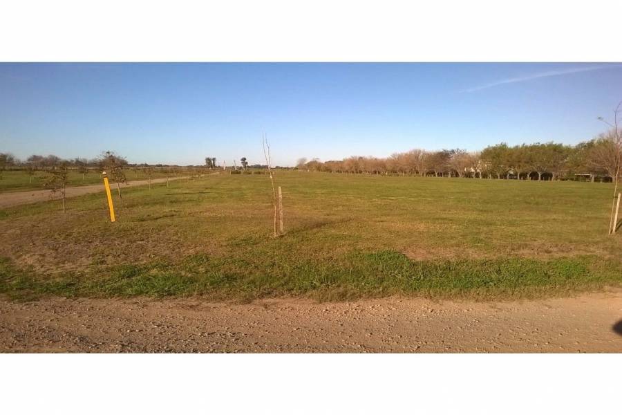 Ibarlucea,Santa Fe,Lotes,Barrio Cerrado Las Casuarinas Country,Av. Del Limite,1652