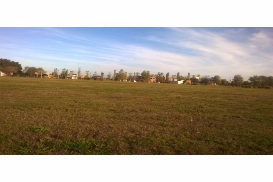 Ibarlucea,Santa Fe,Lotes,Barrio Cerrado Las Casuarinas Country,Av. Del Limite,1652