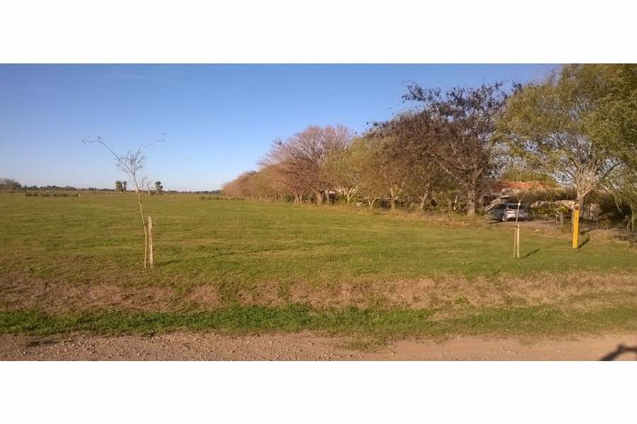 Ibarlucea,Santa Fe,Lotes,Barrio Cerrado Las Casuarinas Country,Av. Del Limite,1652