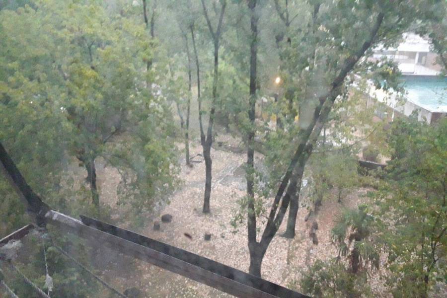 Villa Lugano,Capital Federal,Argentina,2 Bedrooms Bedrooms,1 BañoBathrooms,Apartamentos,RACEDO,7441