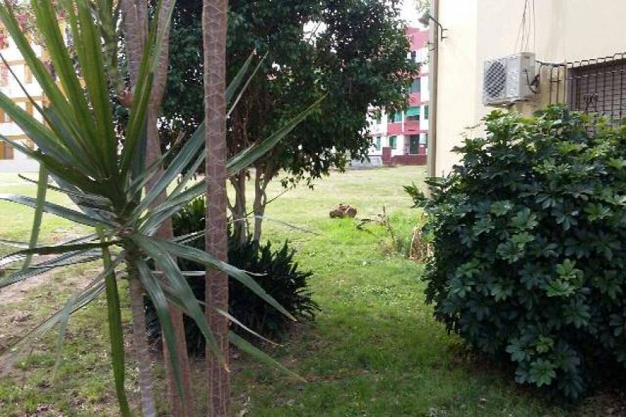 Flores,Capital Federal,Argentina,2 Bedrooms Bedrooms,1 BañoBathrooms,Apartamentos,SAN PEDRITO,7449