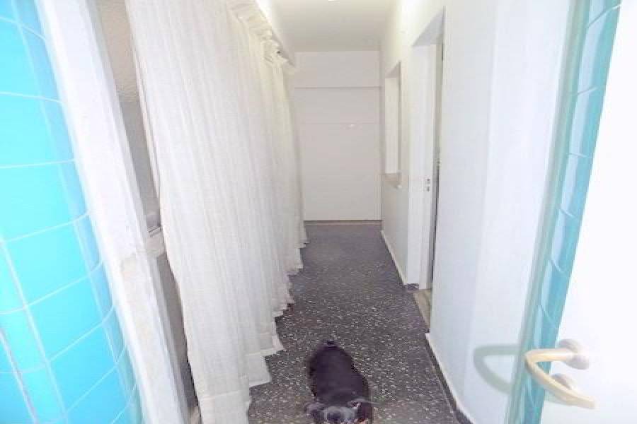 Capital Federal,Argentina,3 Bedrooms Bedrooms,1 BañoBathrooms,Apartamentos,BILLINGHURST ,7585