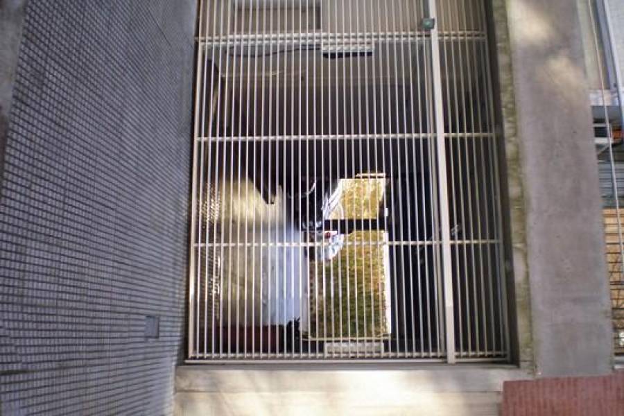 Belgrano,Capital Federal,Argentina,1 Dormitorio Bedrooms,2 BathroomsBathrooms,Apartamentos,FRANKLIN ROOSVELD,7590