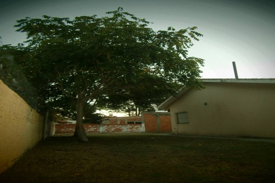 Mar del Tuyu,Buenos Aires,Argentina,2 Bedrooms Bedrooms,1 BañoBathrooms,Casas,58 Nº592 entre (5 y 6),7664