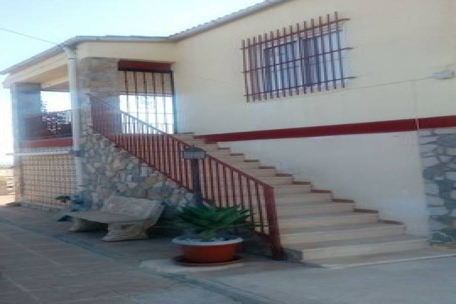 Crevillent,Alicante,España,5 Bedrooms Bedrooms,2 BathroomsBathrooms,Casas,7751