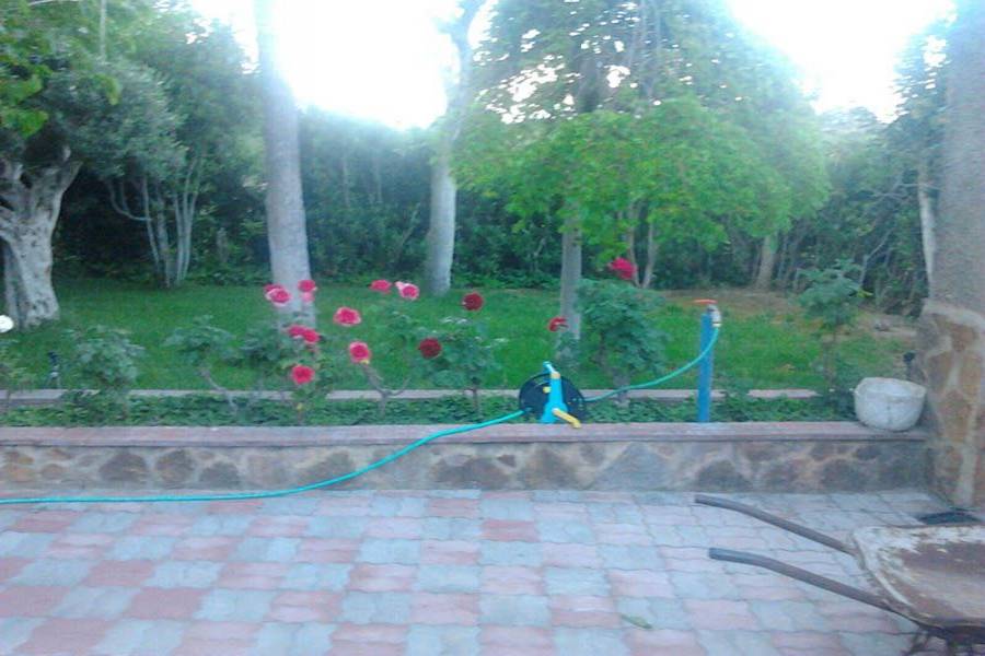 Vilamarxant,Valencia,España,3 Bedrooms Bedrooms,2 BathroomsBathrooms,Casas,7849