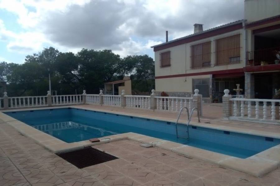 Crevillent,Alicante,España,5 Bedrooms Bedrooms,2 BathroomsBathrooms,Casas,8033