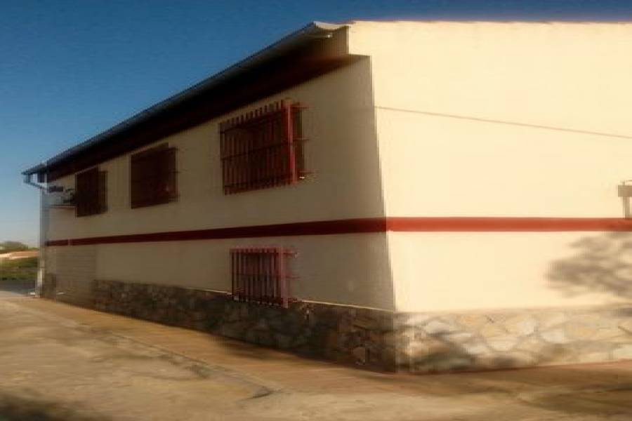 Crevillent,Alicante,España,5 Bedrooms Bedrooms,2 BathroomsBathrooms,Casas,8033