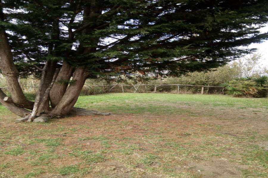 Las Toninas,Buenos Aires,Argentina,2 Bedrooms Bedrooms,1 BañoBathrooms,Casas,12,8102