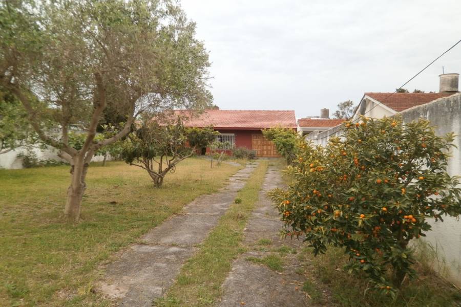 Santa Teresita,Buenos Aires,Argentina,2 Bedrooms Bedrooms,1 BañoBathrooms,Casas,37,8105