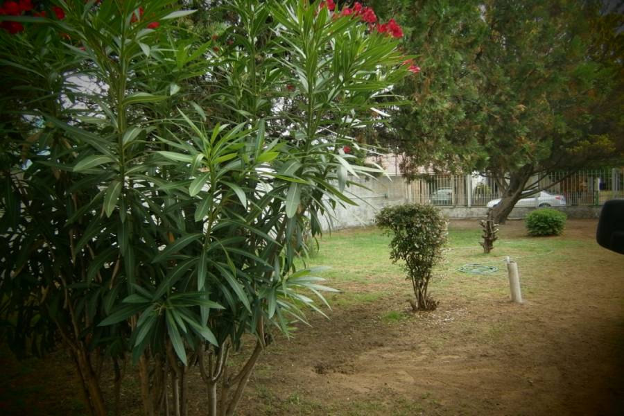 Santa Teresita,Buenos Aires,Argentina,2 Bedrooms Bedrooms,1 BañoBathrooms,Casas,46,8121