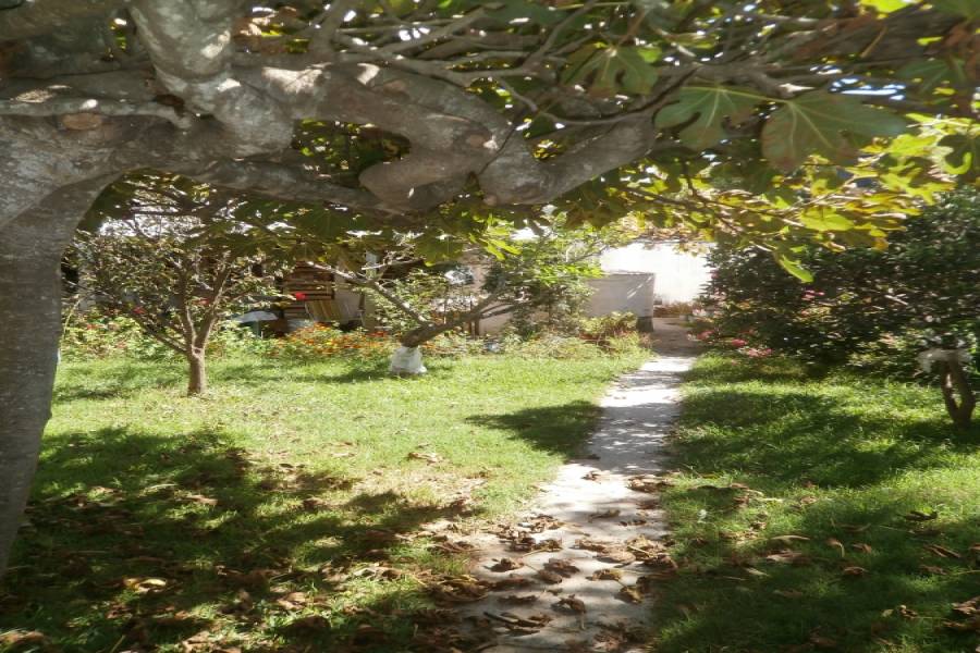 Santa Teresita,Buenos Aires,Argentina,2 Bedrooms Bedrooms,2 BathroomsBathrooms,Casas,11,8131