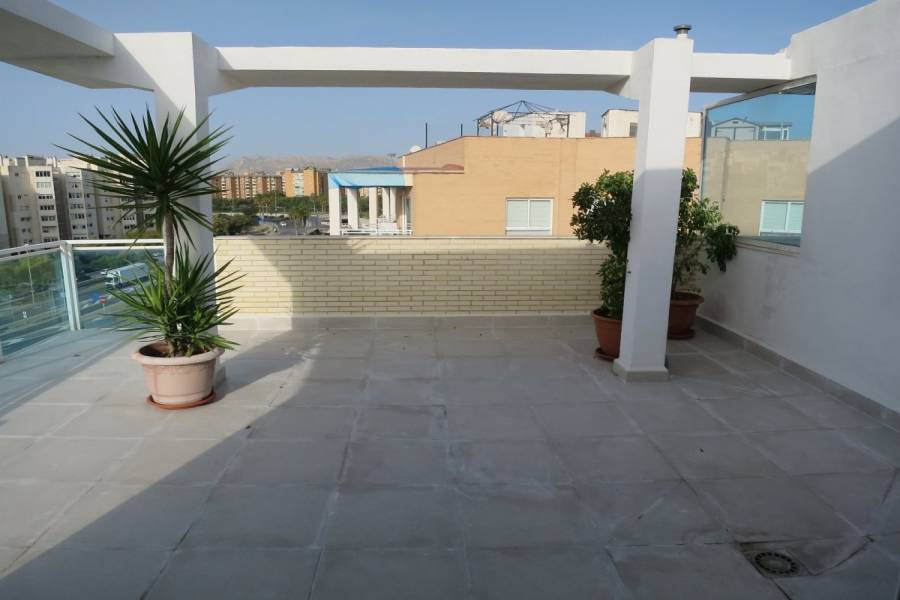 Alicante,Alicante,España,4 Bedrooms Bedrooms,2 BathroomsBathrooms,Pisos,8278