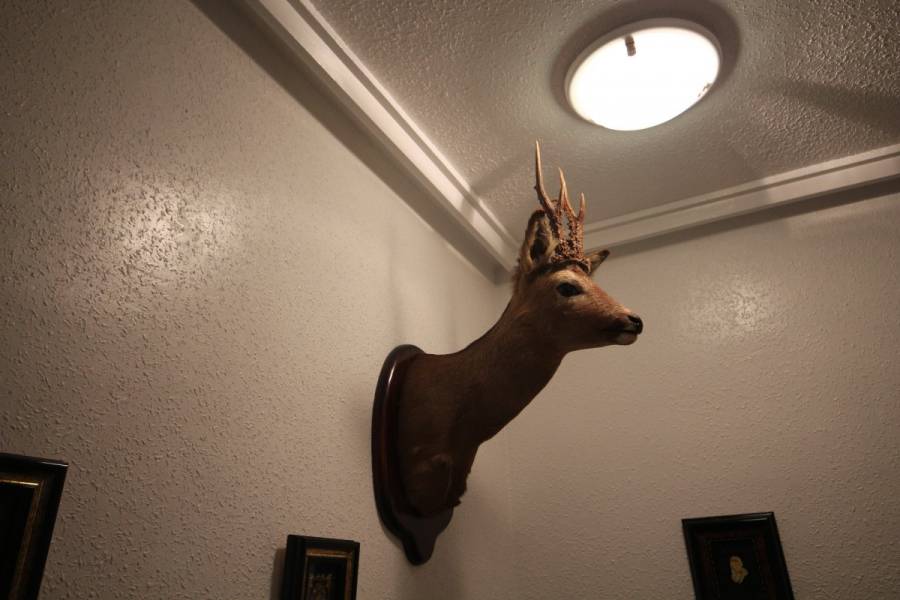 Torrevieja,Alicante,España,2 Bedrooms Bedrooms,1 BañoBathrooms,Pisos,8601