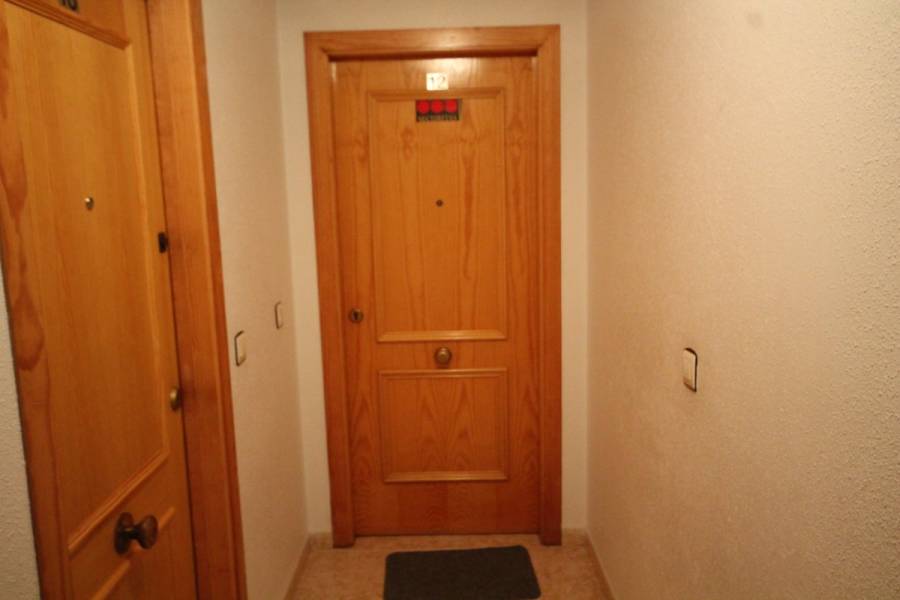 Torrevieja,Alicante,España,2 Bedrooms Bedrooms,1 BañoBathrooms,Pisos,8601