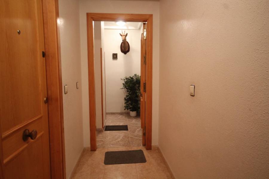 Torrevieja,Alicante,España,2 Bedrooms Bedrooms,1 BañoBathrooms,Pisos,8601