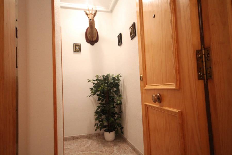 Torrevieja,Alicante,España,2 Bedrooms Bedrooms,1 BañoBathrooms,Pisos,8601