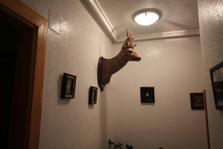 Torrevieja,Alicante,España,2 Bedrooms Bedrooms,1 BañoBathrooms,Pisos,8601