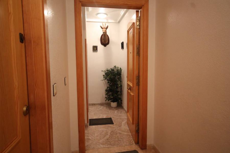 Torrevieja,Alicante,España,2 Bedrooms Bedrooms,1 BañoBathrooms,Pisos,8601