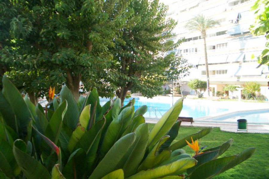 Alicante,Alicante,España,2 Bedrooms Bedrooms,1 BañoBathrooms,Pisos,8811