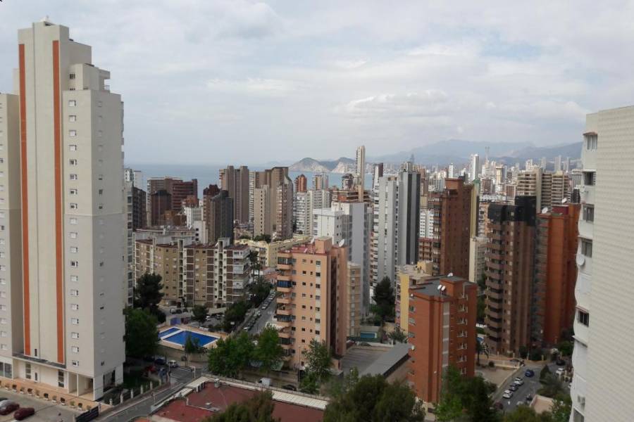Benidorm,Alicante,España,1 Dormitorio Bedrooms,1 BañoBathrooms,Pisos,9332