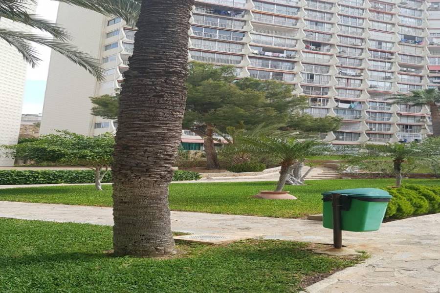Benidorm,Alicante,España,1 Dormitorio Bedrooms,1 BañoBathrooms,Pisos,9332