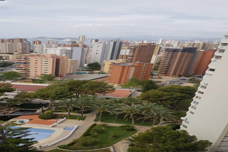 Benidorm,Alicante,España,1 Dormitorio Bedrooms,1 BañoBathrooms,Pisos,9332