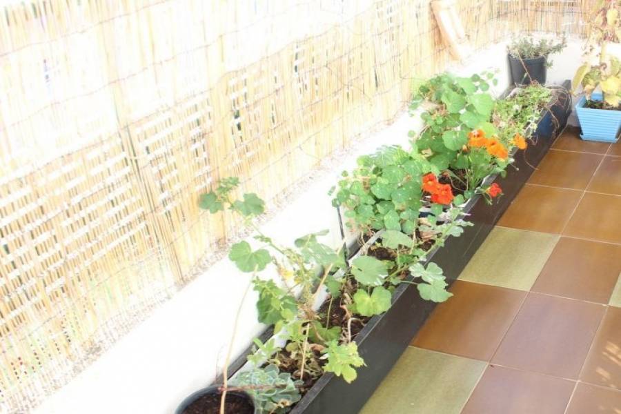 Ondara,Alicante,España,3 Bedrooms Bedrooms,1 BañoBathrooms,Pisos,9470